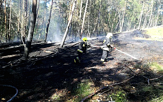 Strażacy gasili ponad 90 arów ściółki w lasach na Mierzei Wiślanej. Z powodu upałów rośnie zagrożenie pożarowe